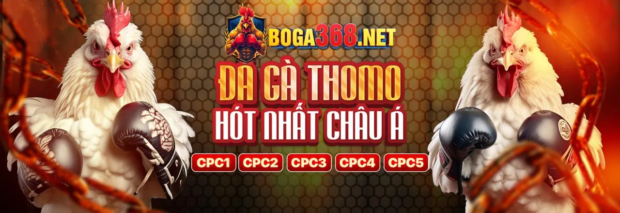 Đá gà kịch tính tại lc79 bet